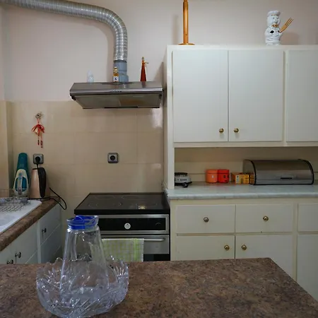 Nik Cougar Apartmnet *